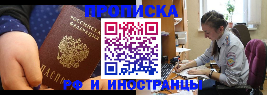 прописка штамп в Тереке